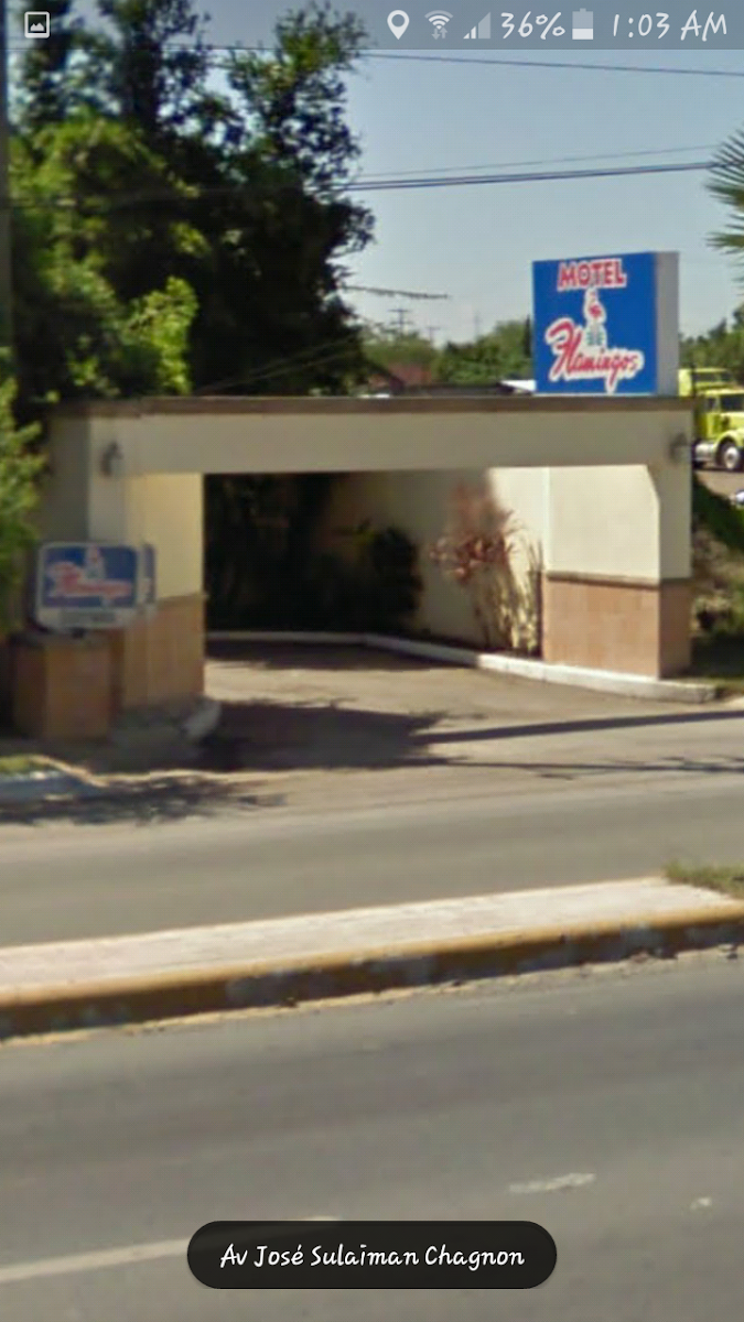 Motel Flamingos photo 3