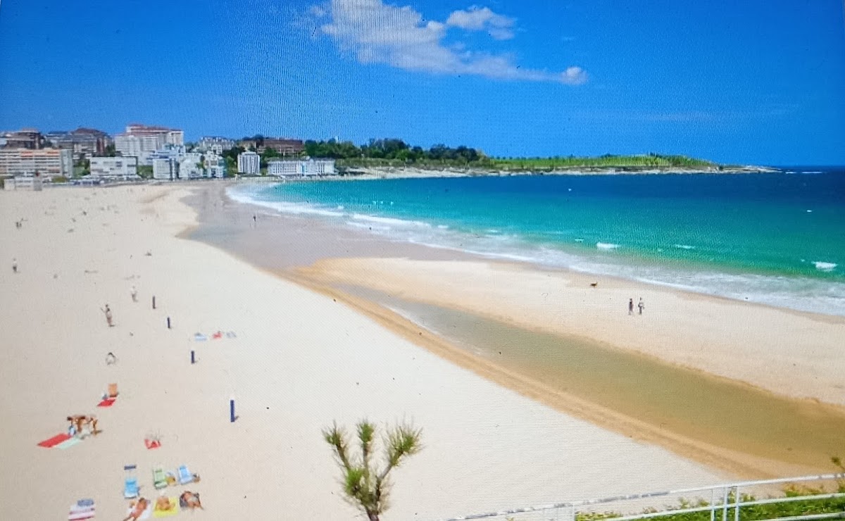 El Sardinero