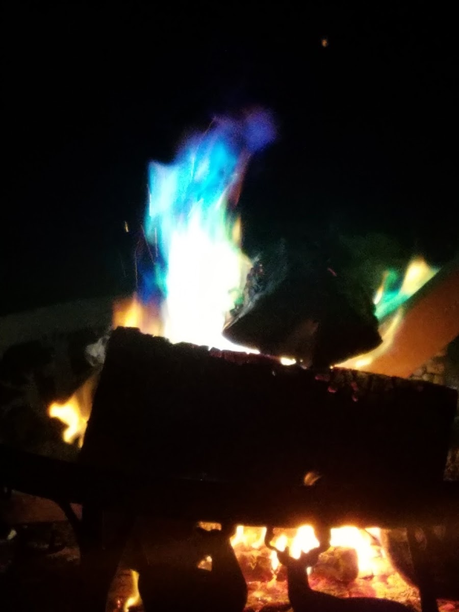 Sun Valley Resort photo 3