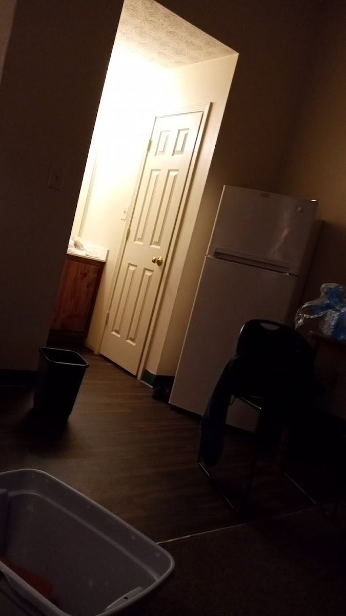 Guest House photo 3