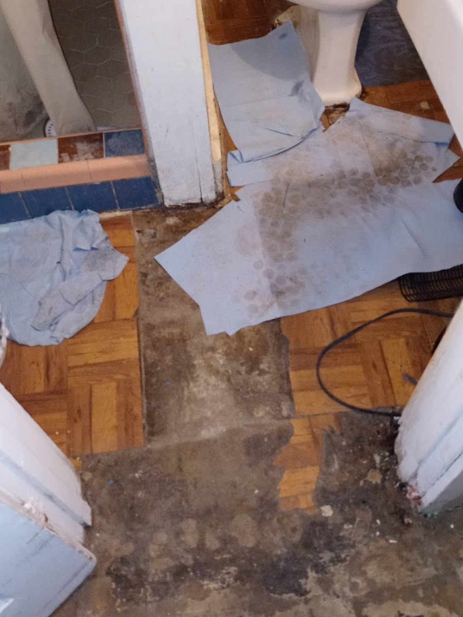 Ritz Motel photo 2