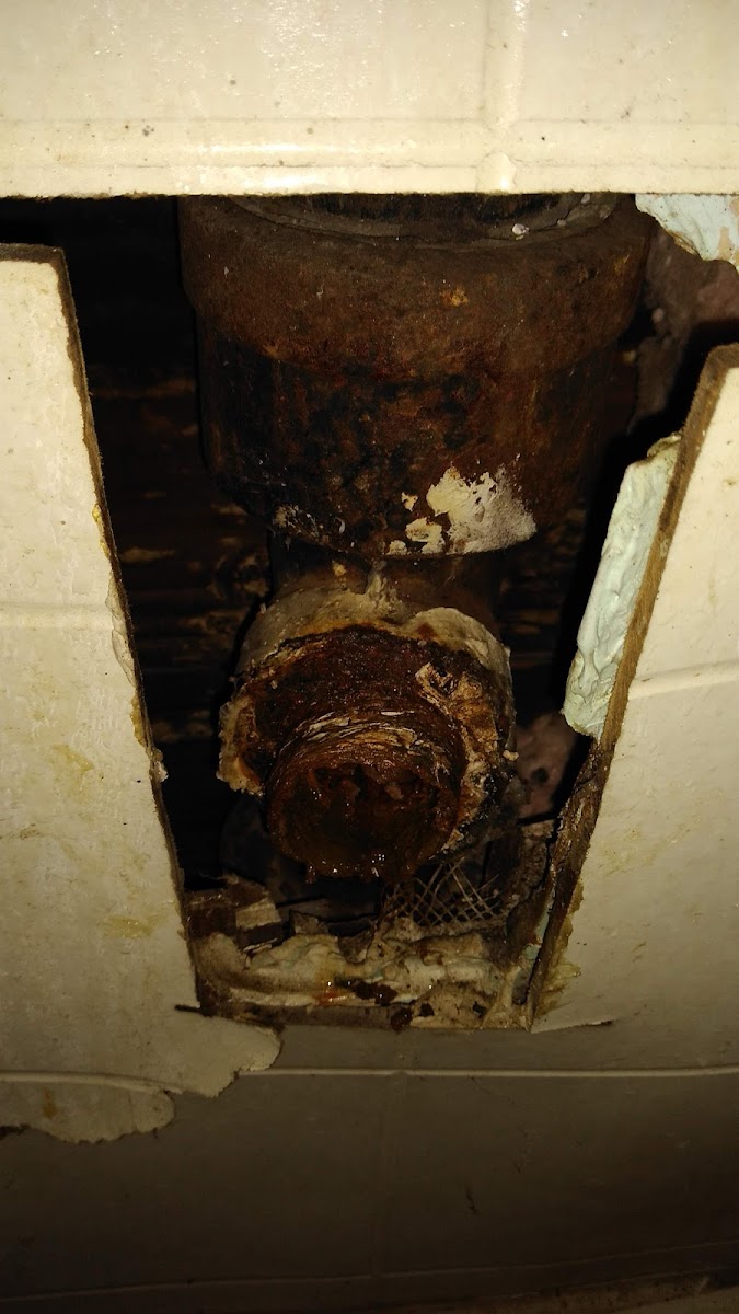Ritz Motel photo 3
