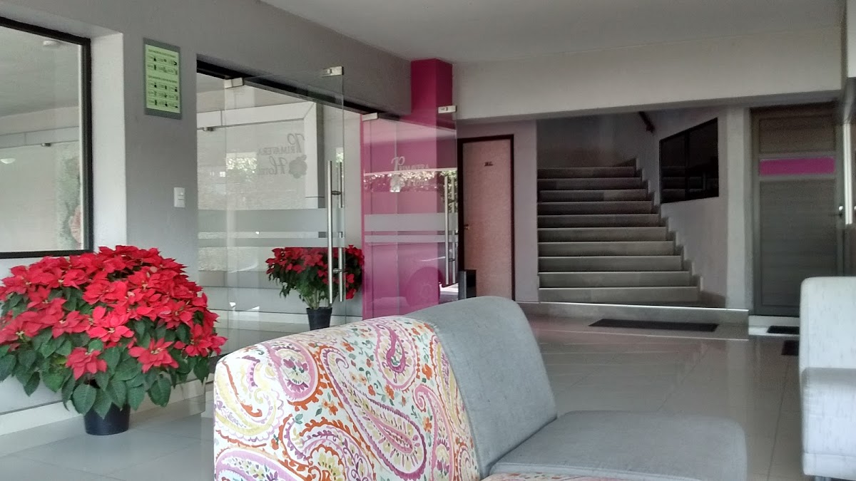 Hotel Primavera photo 3