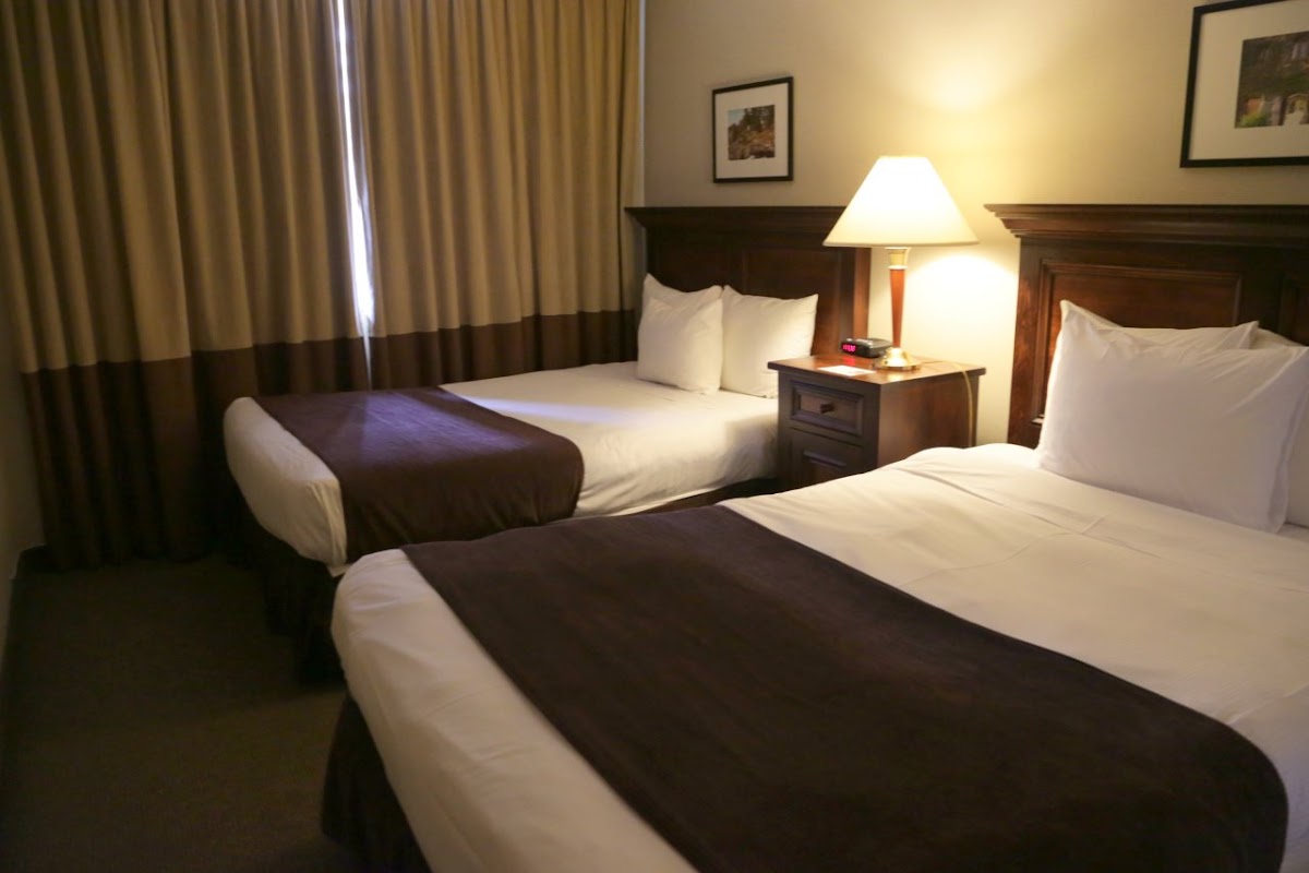 Town Inn Suites photo 3