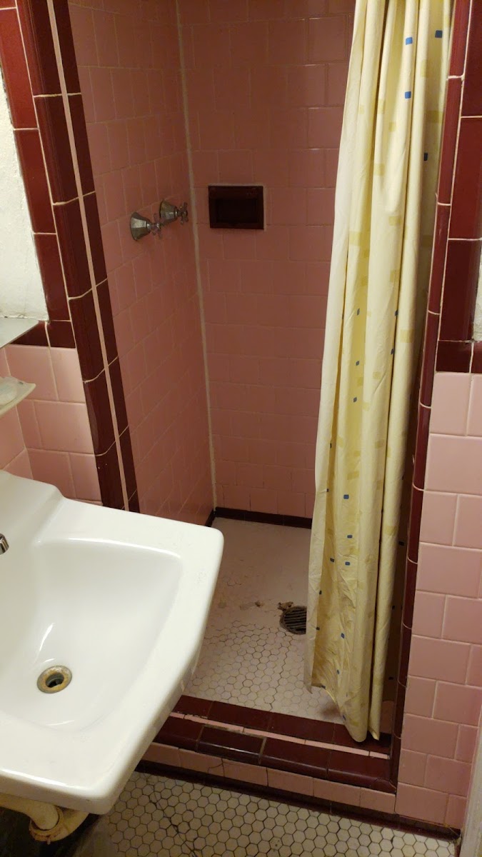 Star Motel photo 2