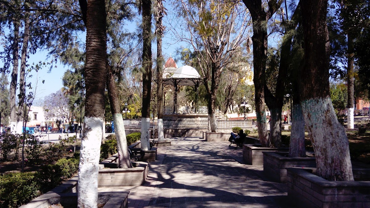 Hotel Casa Grande photo 3