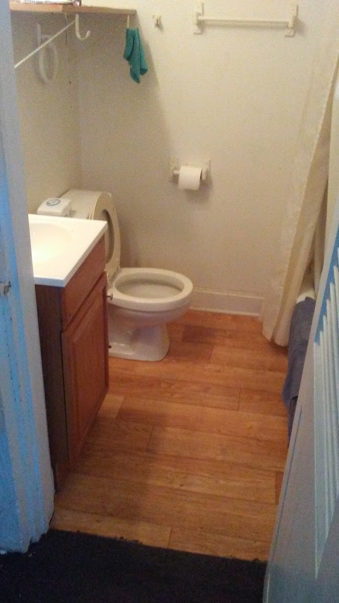 Colonial Motel photo 2