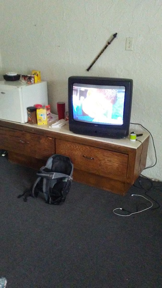 Colonial Motel photo 3
