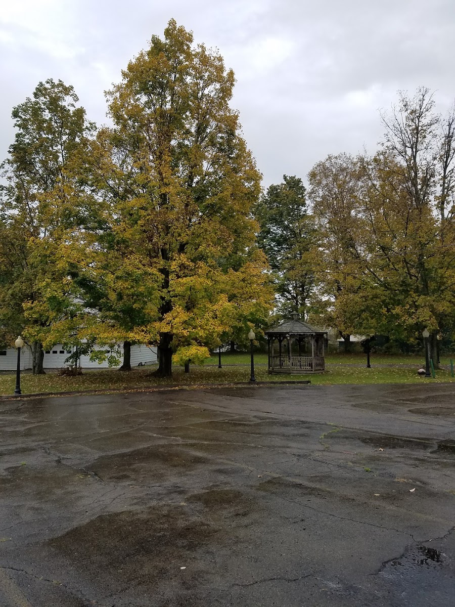 Sunshine Motel photo 3