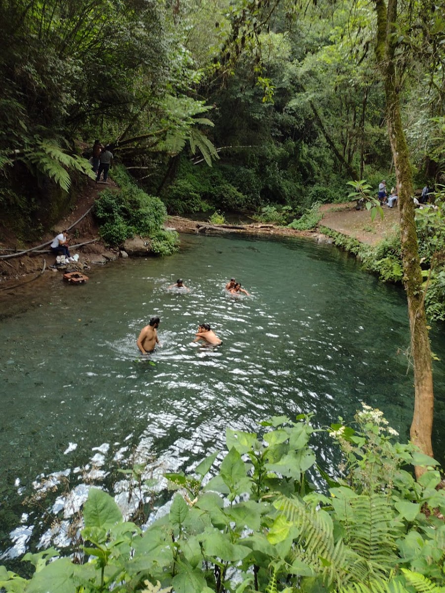 Pancho Poza Ecological Reserve
