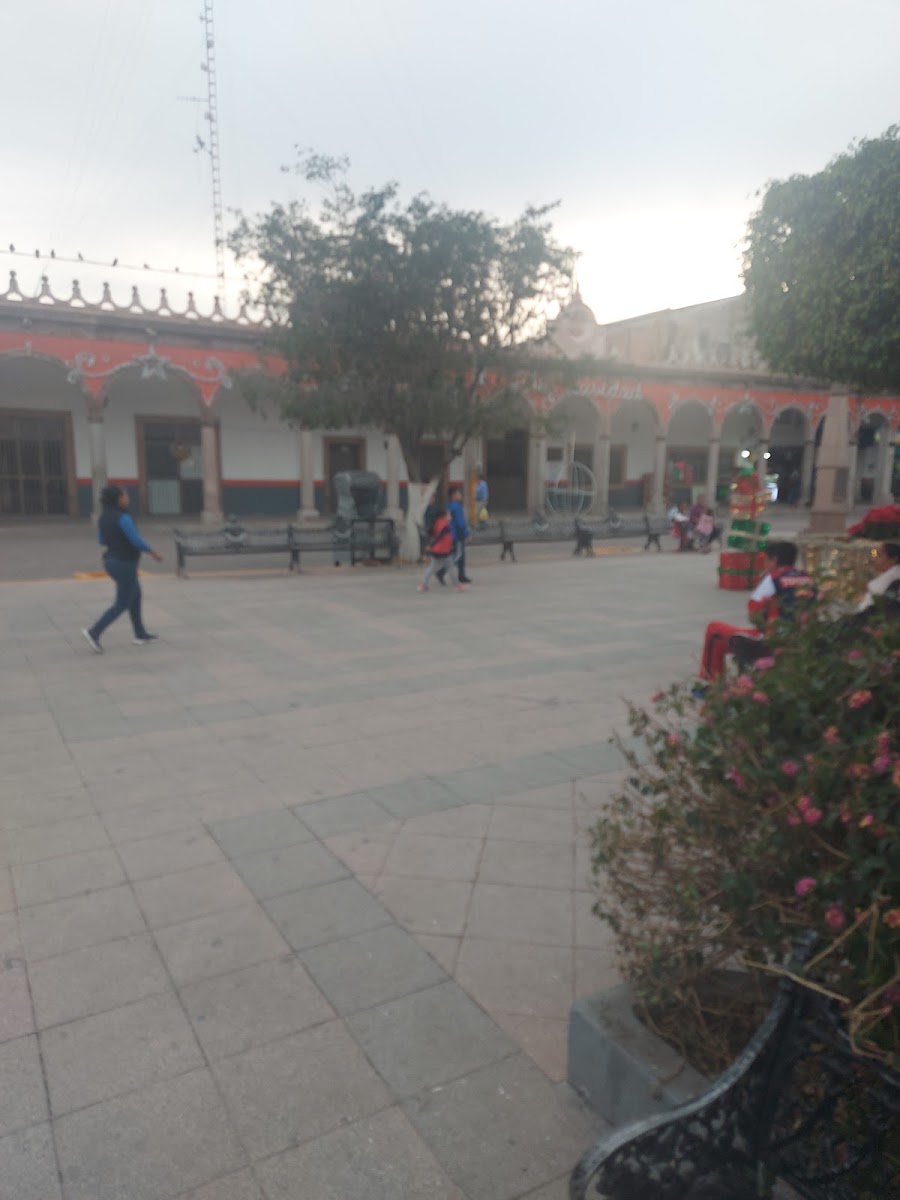Hotel Hidalgo