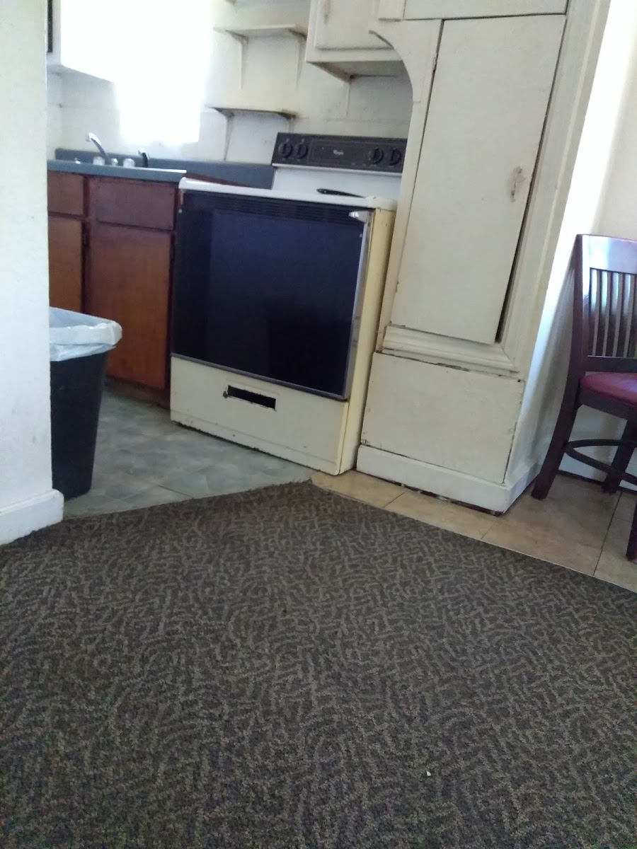 Flamingo Motel photo 3
