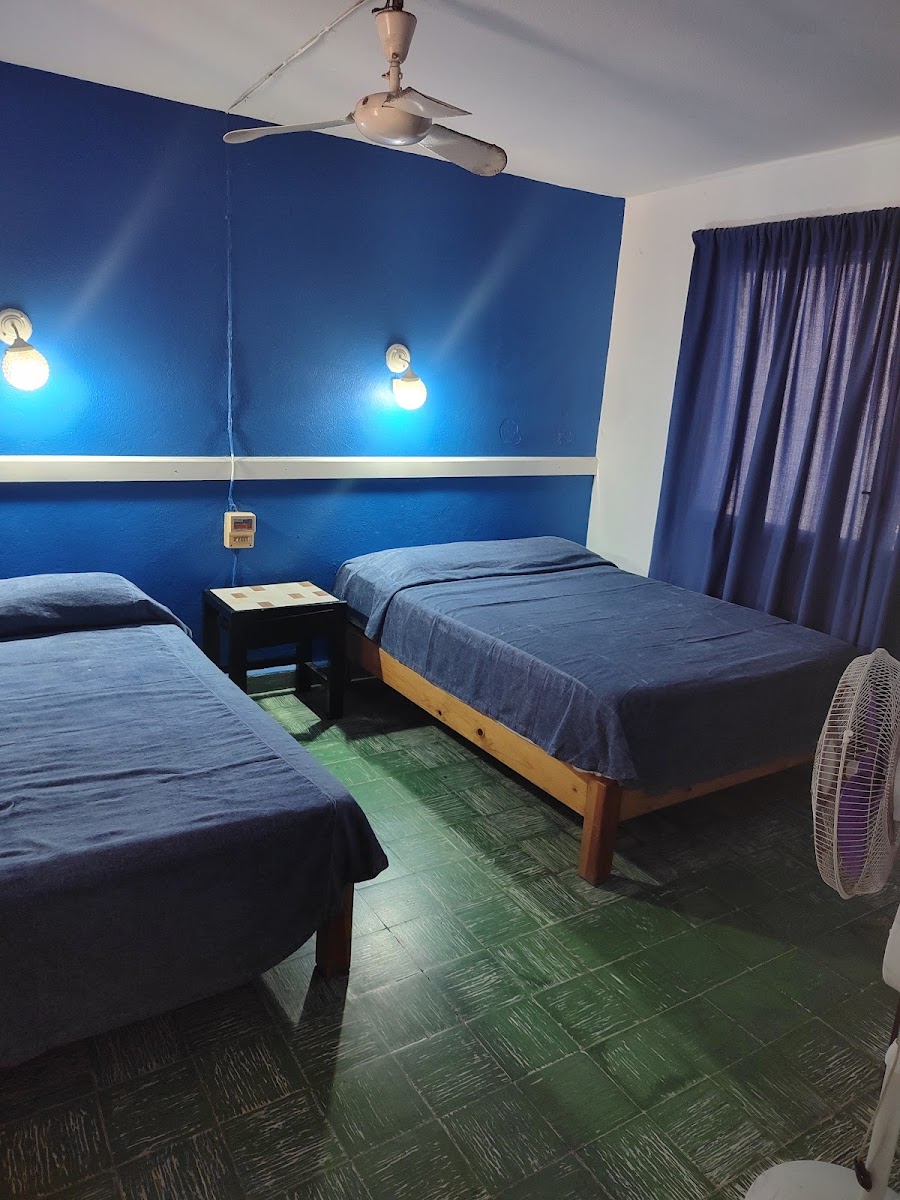 Hotel del Valle photo 2