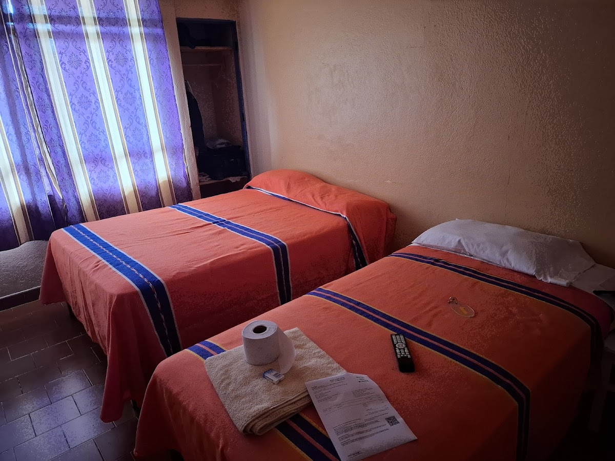 Hotel del Bosque photo 2