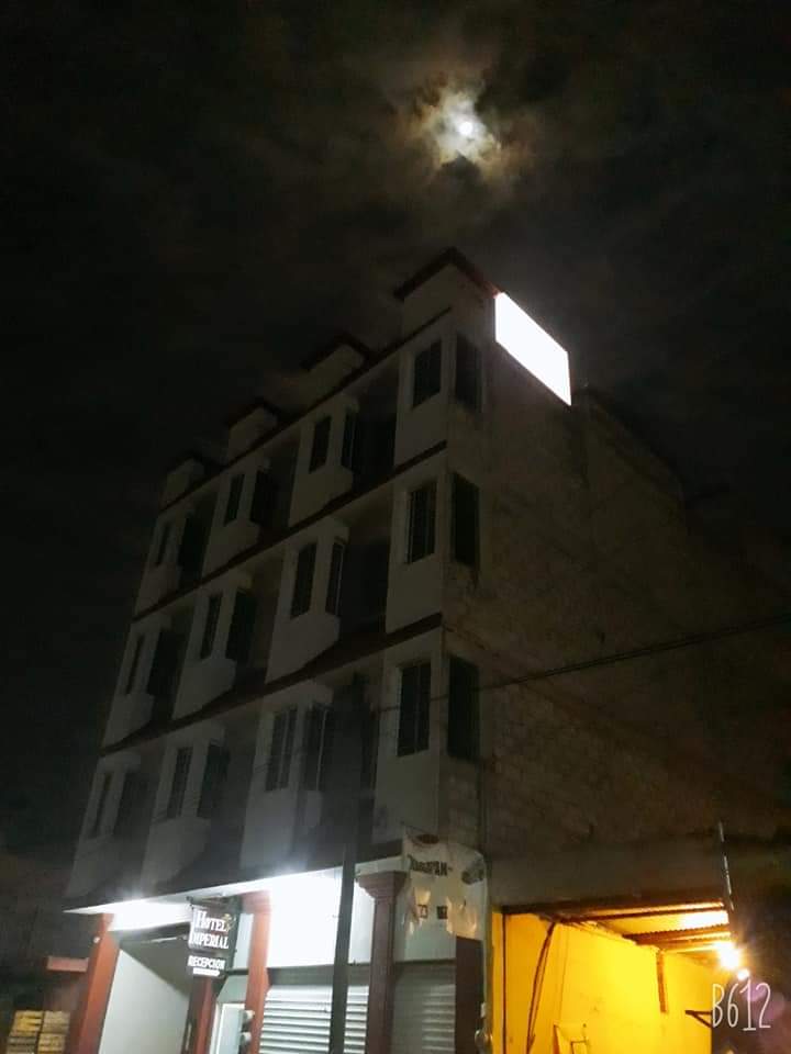 HOTEL IMPERIAL photo 3