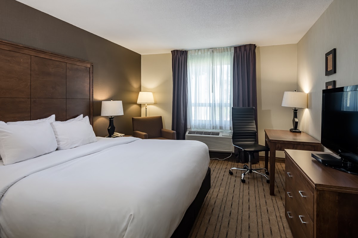 Comfort Inn photo 2