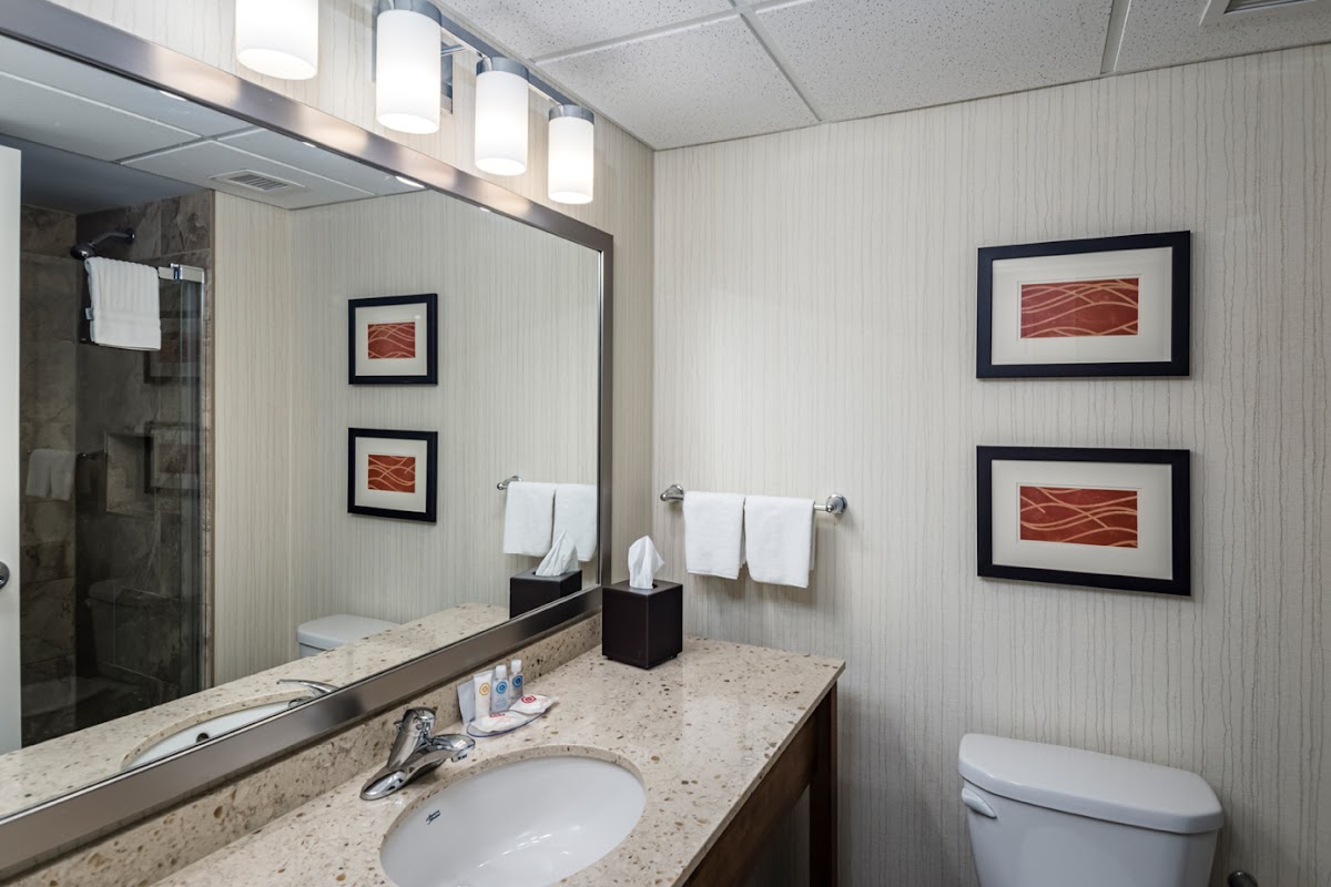 Comfort Inn photo 3