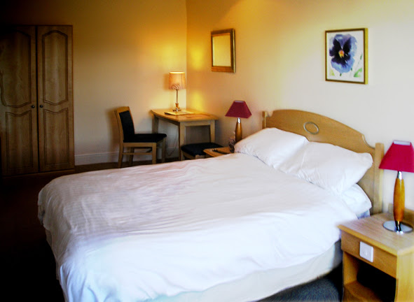 The Lion Hotel photo 2