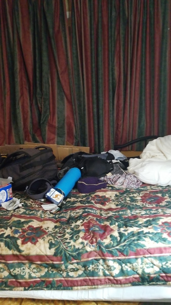 Holiday Lodge photo 3
