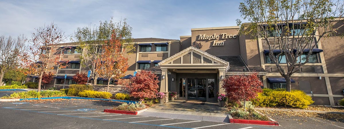 Maple Tree Inn