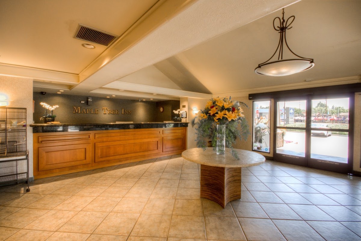 Maple Tree Inn photo 2
