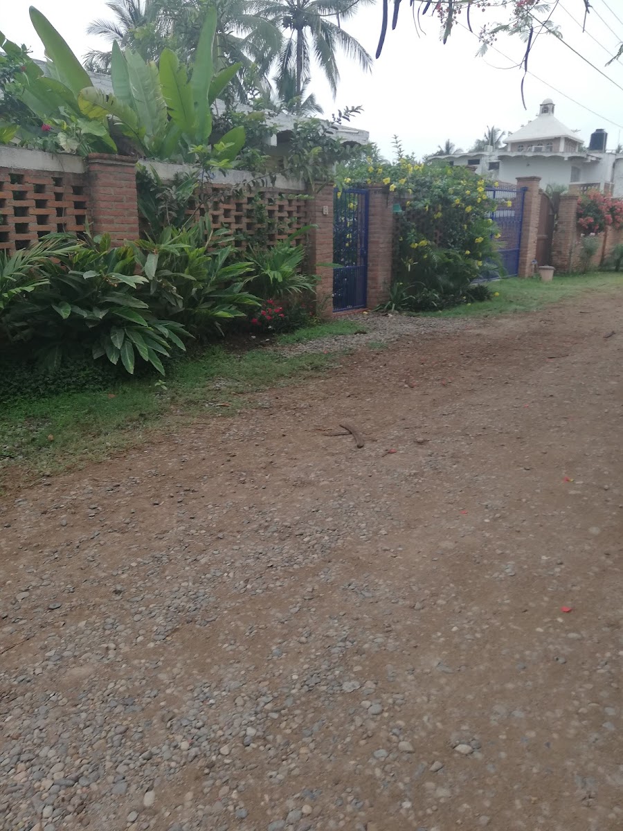 Casa Frida photo 2