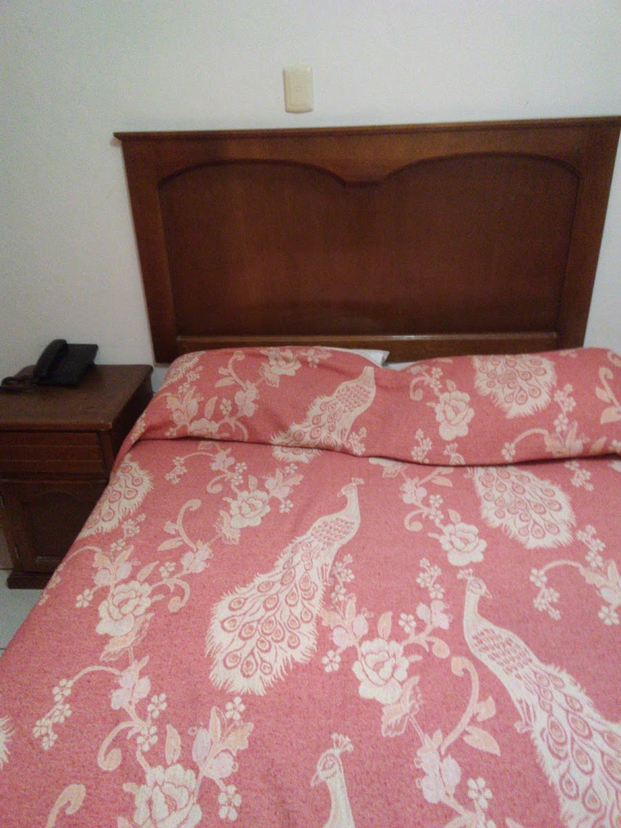 Hotel Belén photo 3