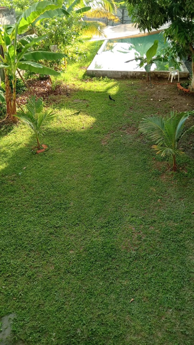 Hotel Arcadia photo 3