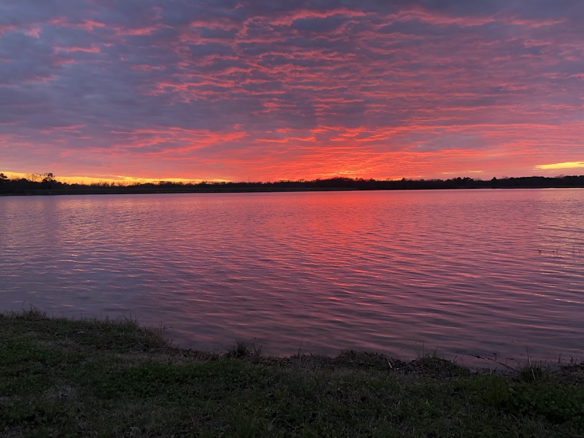 Lake Holbrook