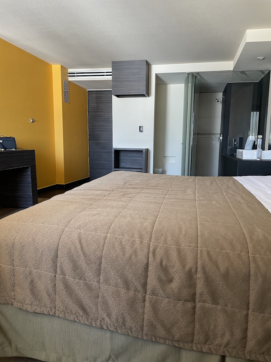 Hotel Amazonas photo 2
