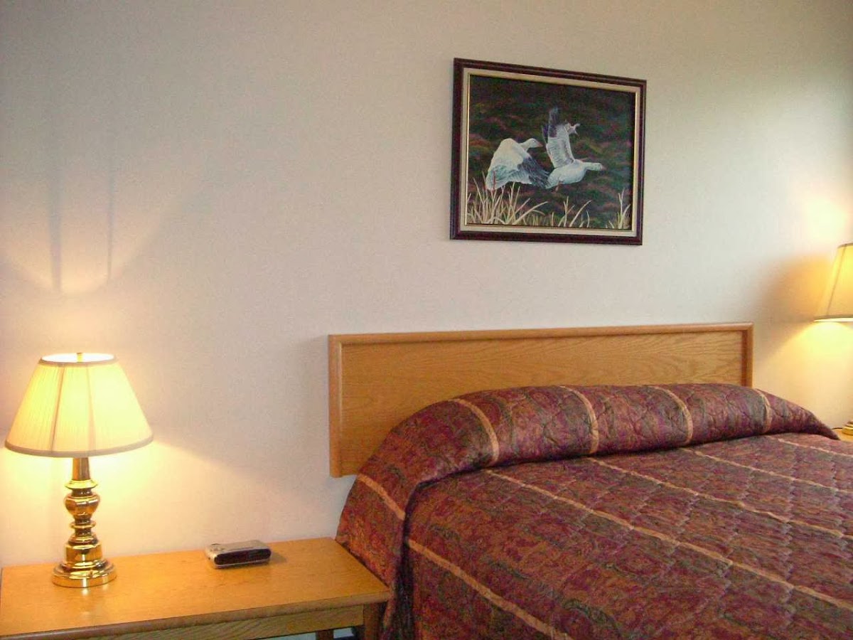 Colonial Inn photo 3