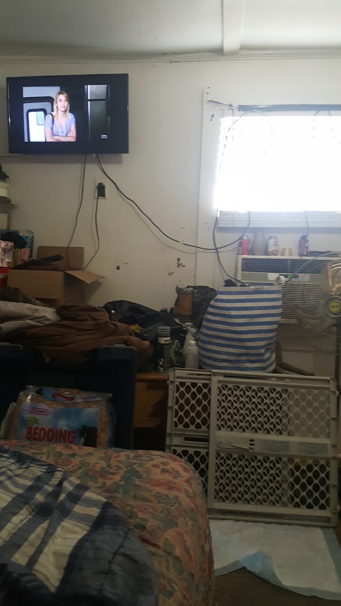 Thrifty Motel photo 2