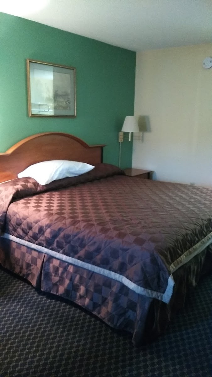Budget Motel