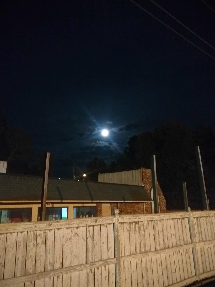 Budget Motel photo 2