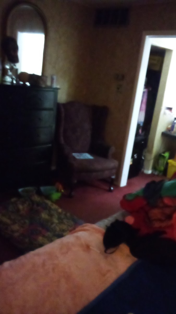 King's Inn Motel photo 3