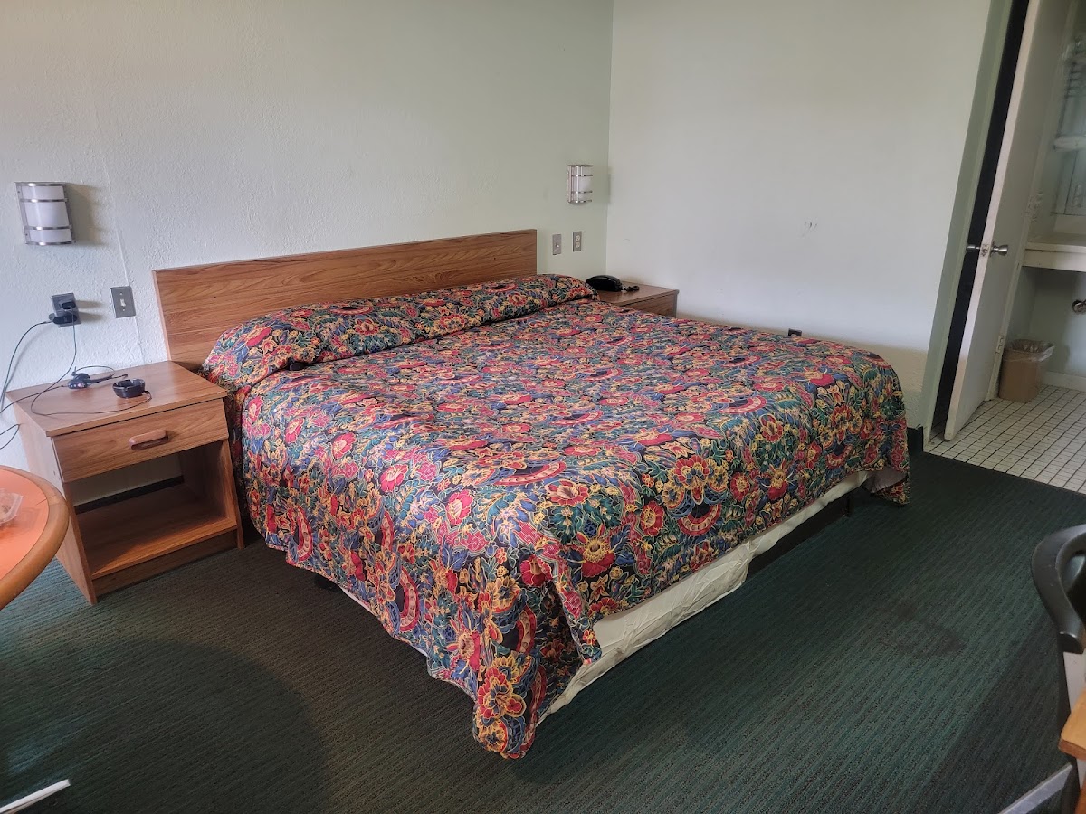 Flamingo Inn photo 2