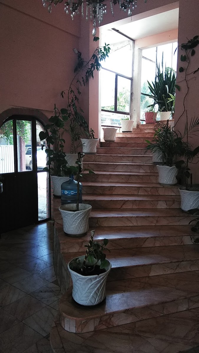 Hotel EDEN photo 2
