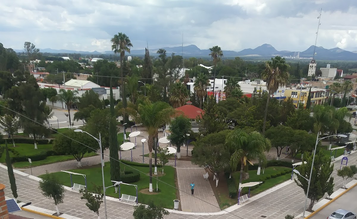 Hotel EDEN photo 3