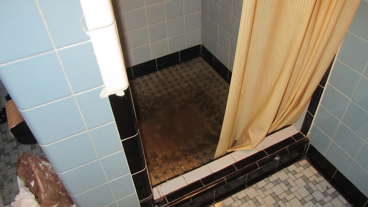 Travel Inn photo 3