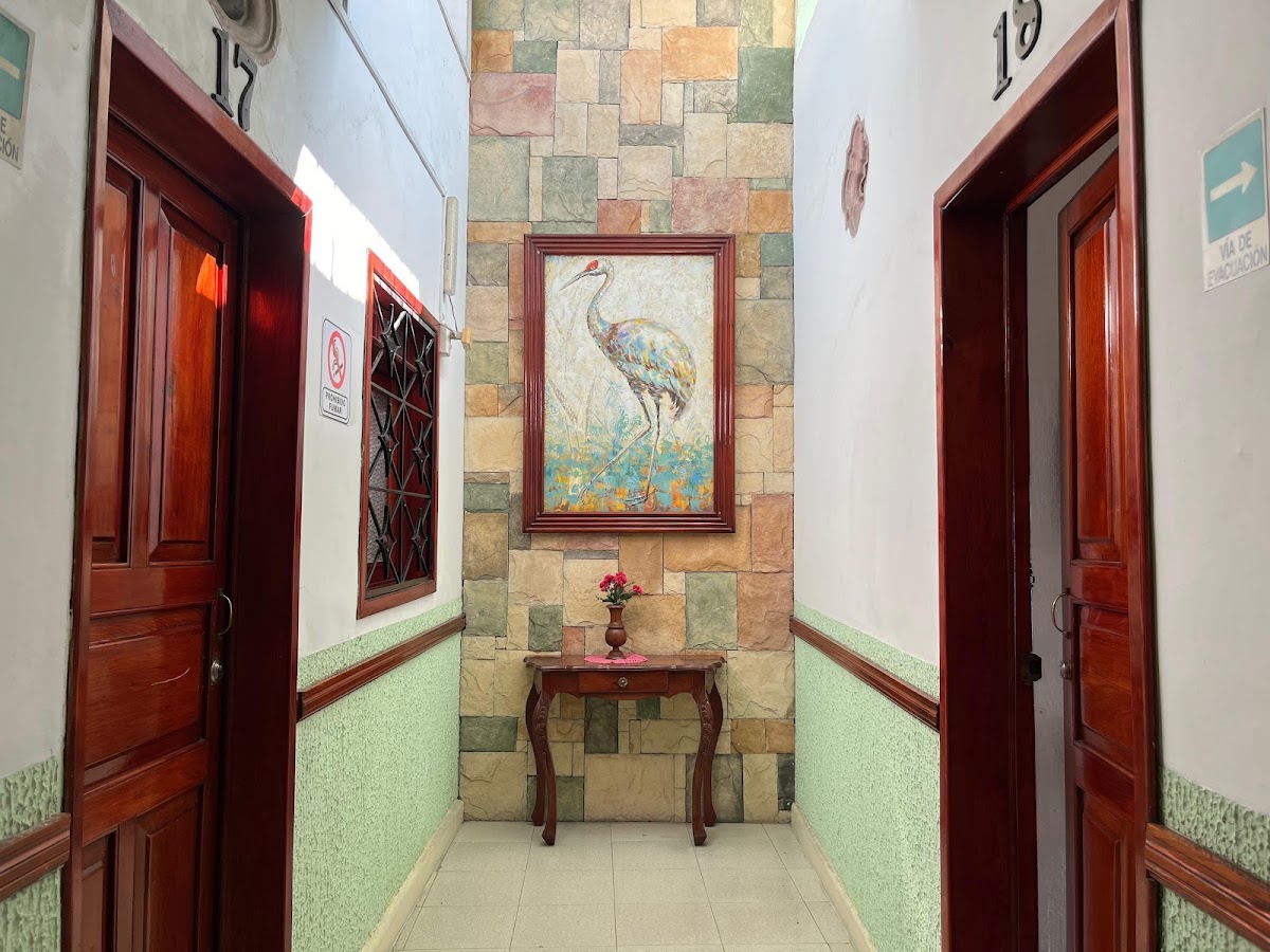 Hotel Las Flores photo 3