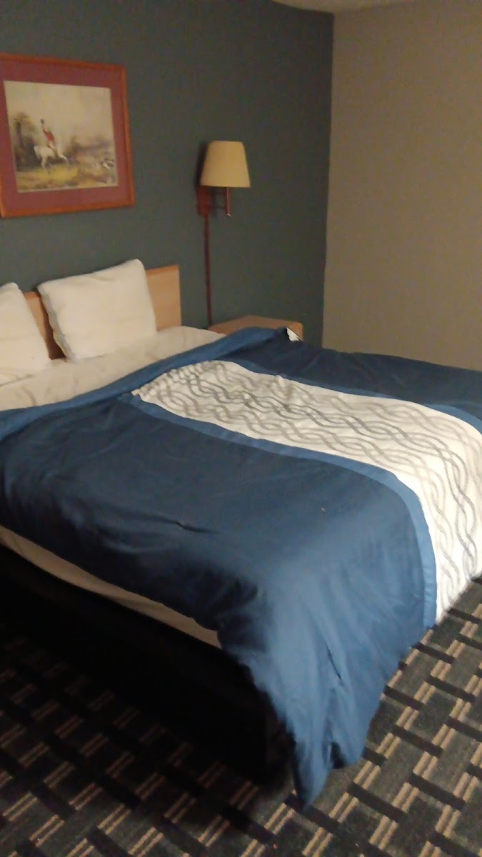 Budget Inn photo 2