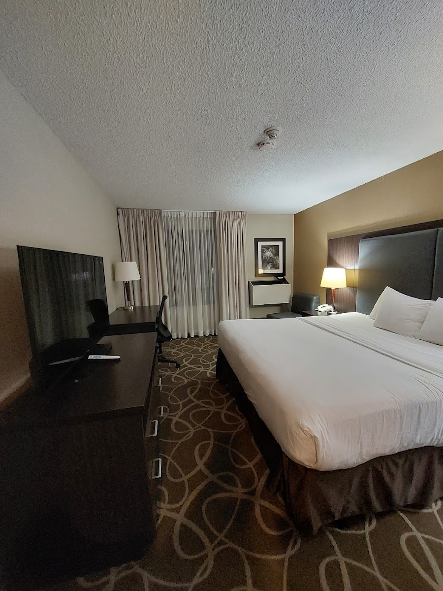 Comfort Inn photo 2