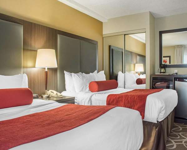 Comfort Inn photo 3