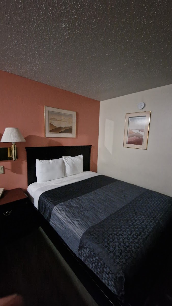 Royal Inn photo 2