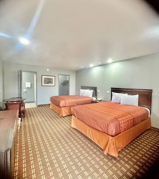 Palace Motel photo 2