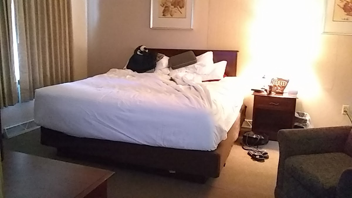 Sportsman's Inn photo 3