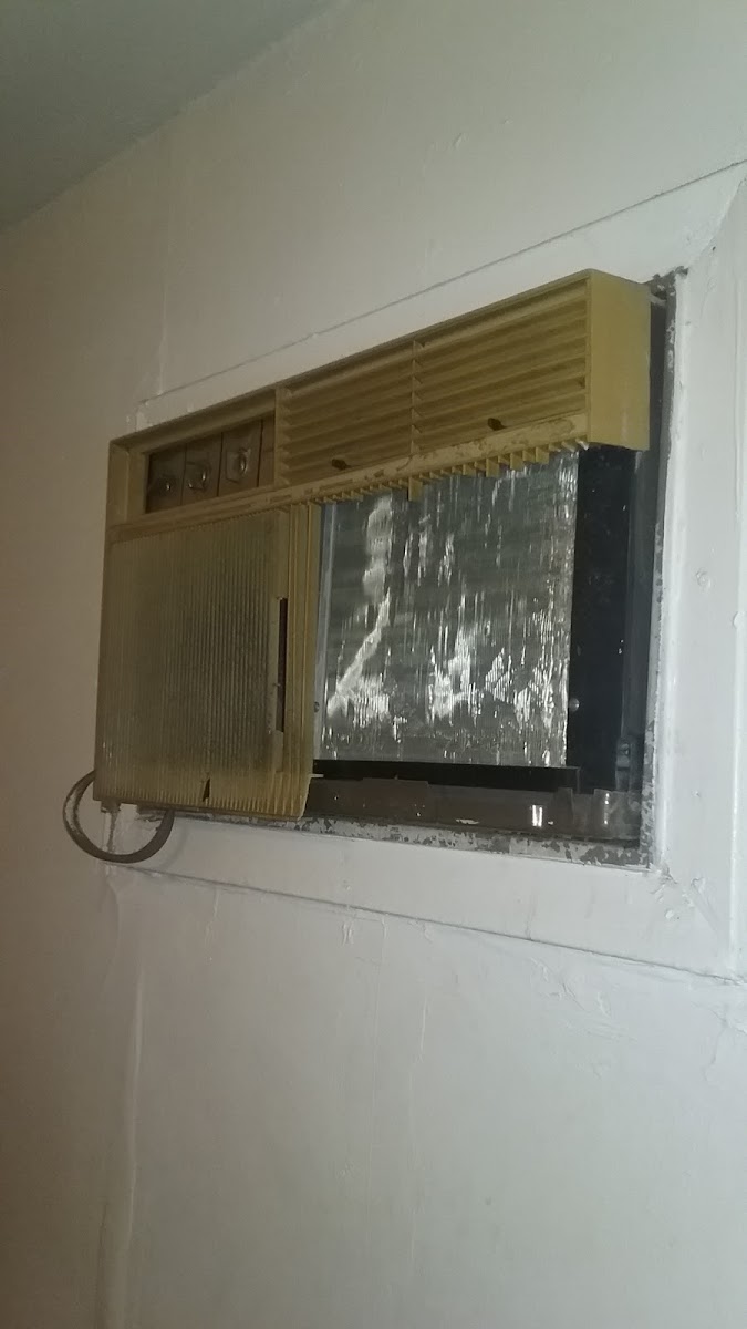 Star Motel photo 3