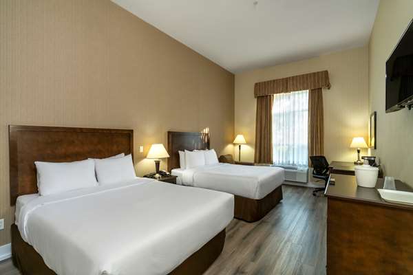 Comfort Inn & Suites photo 2