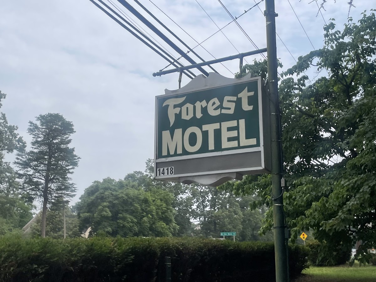 Forest Motel photo 2