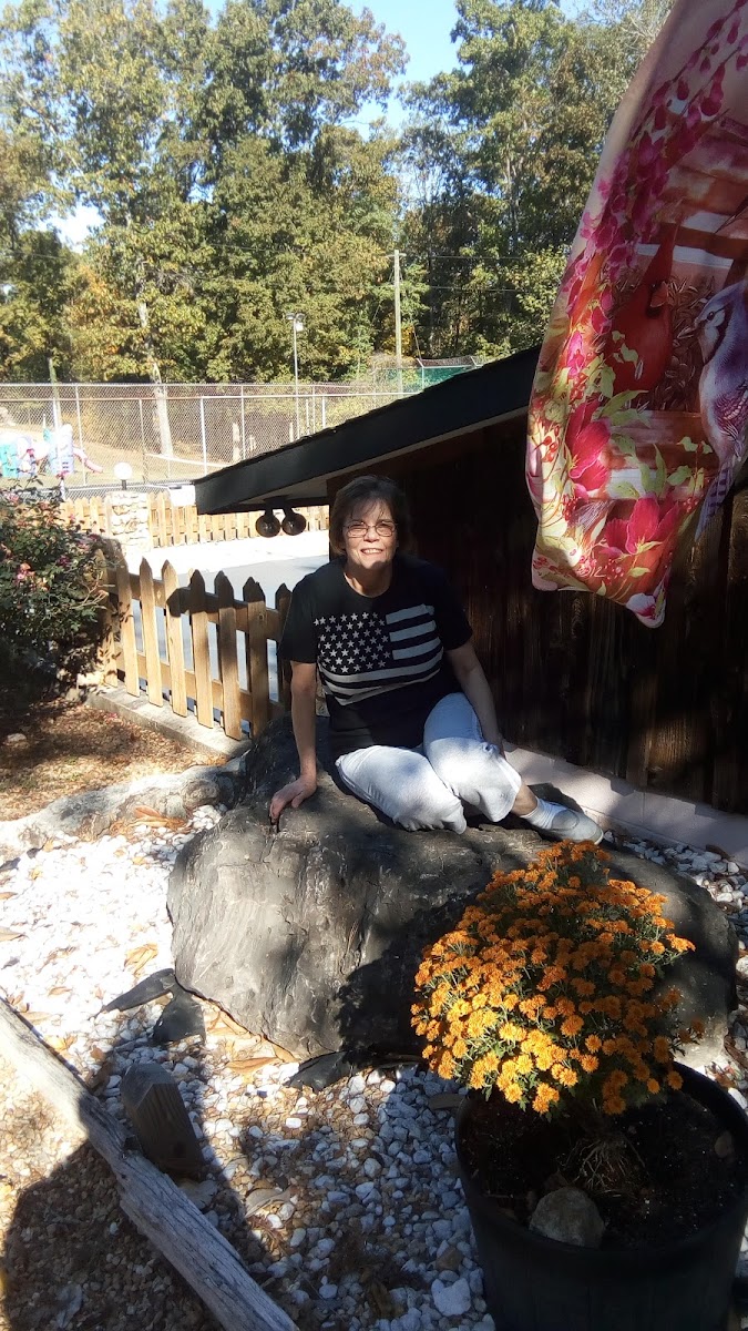 Sunset Point Resort photo 3